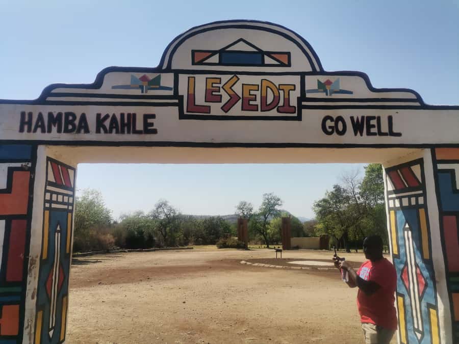Johannesburg: Lion Park Safari and Cultural Village Tour - What to expect on the 4x4 safari
