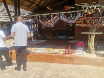 Lion Park Safari and Cultural Village Tour