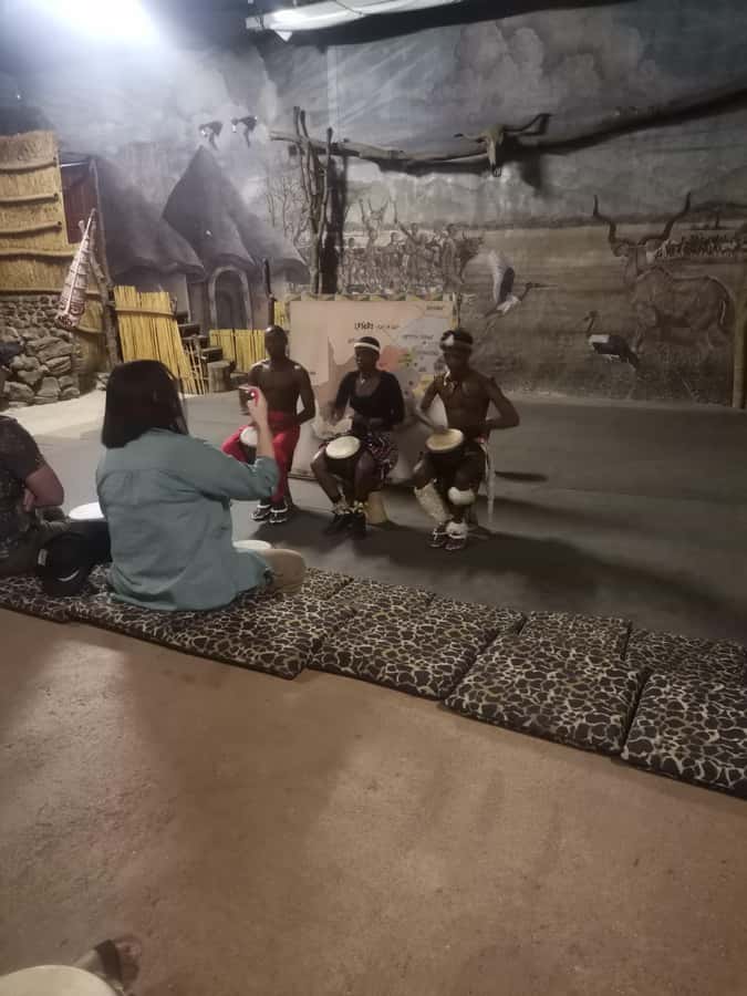 Johannesburg: Lion Park Safari and Cultural Village Tour - Final booking advice