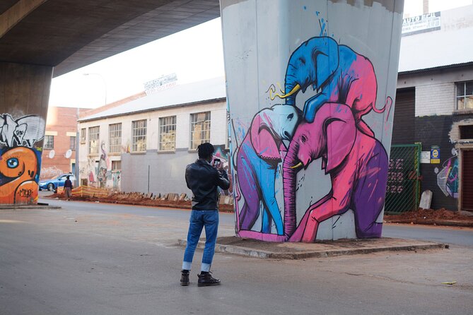 Johannesburg: Maboneng Street Art & Culture Tour - Starting above the city at Hallmark House