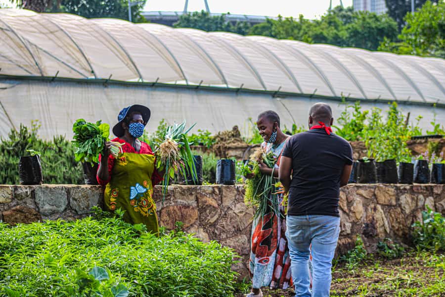 Johannesburg: Pan-African Cooking & Dinning Experience - FAQ