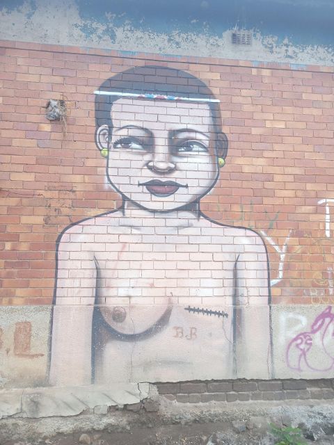 Johannesburg: Pretoria, Apartheid & Soweto Small-Group Tour - The guide can make or break this day