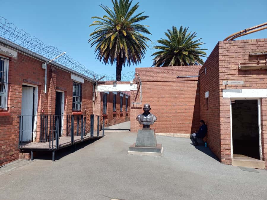 Johannesburg: Private Guided City Tour with Apartheid Museum - Price, timing, and the value of a half day