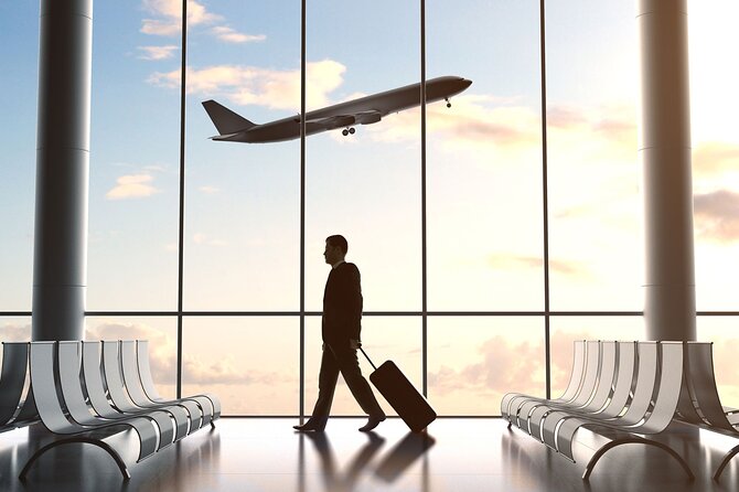 Johannesburg: Private Transfers from Airport to Hotel/Game Lodge - Booking, cancellation, and practical details