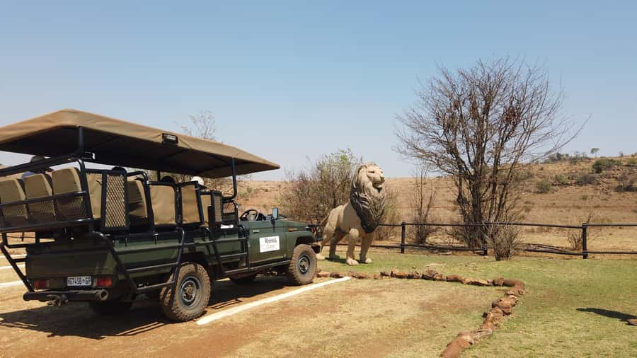 Johannesburg: Rhino and Lion Nature Reserve Safari - A short stop for souvenirs