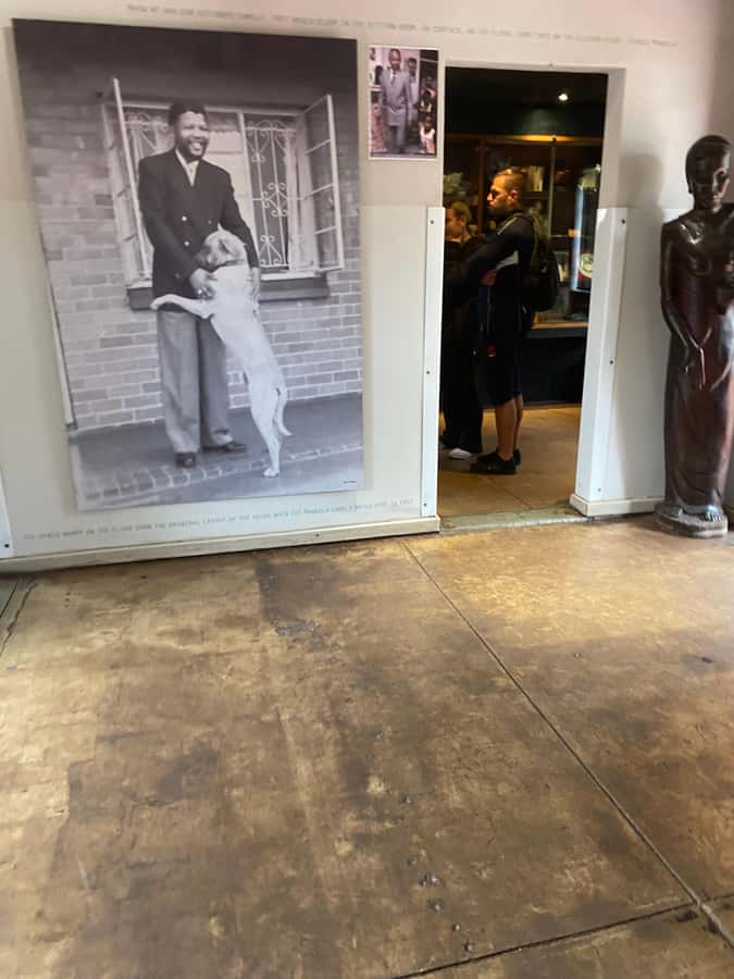 Johannesburg: Soweto & Apartheid Museum Half-Day Tour - Seeing Soweto beyond the famous names