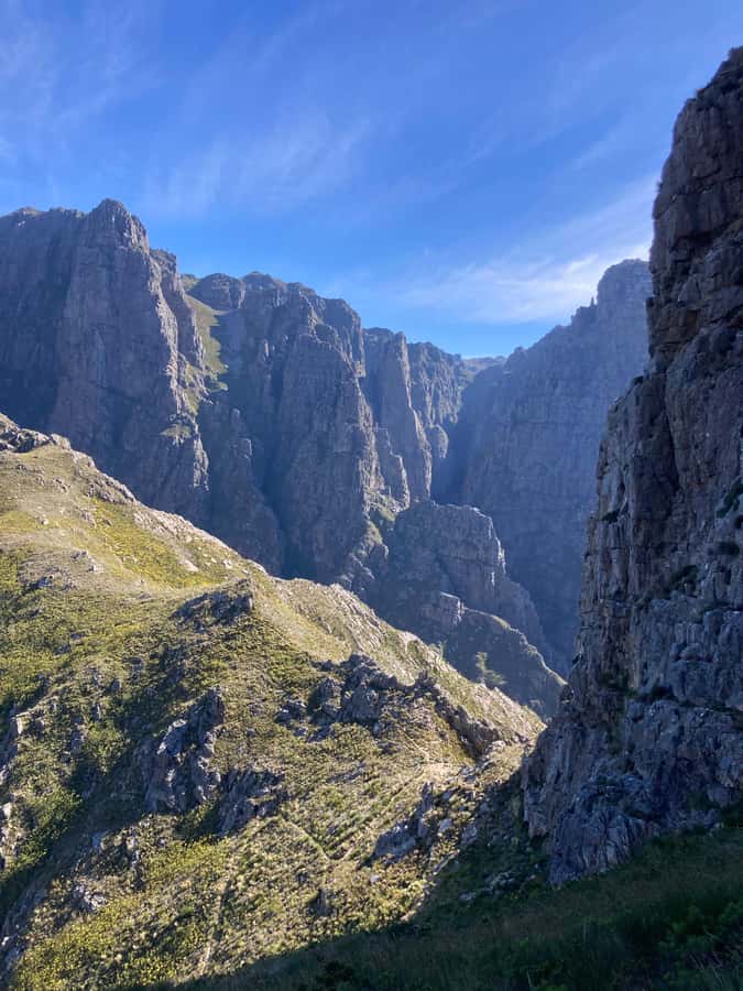 Jonkershoek Nature Reserve: Guided Panorama Trail Hike - What the $112 price actually buys