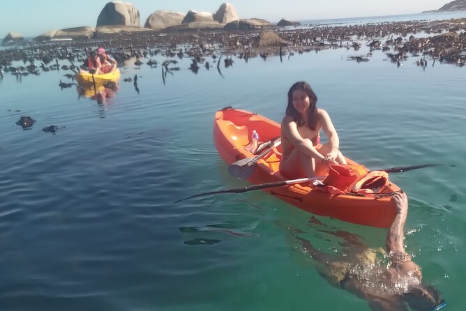 Kayak Adventure at Clifton Beach - Rock pools and kelp near Maiden’s Cove