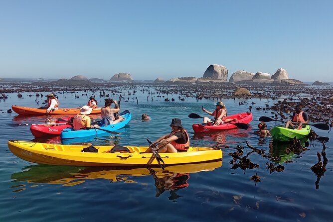 Kayak Adventure at Clifton Beach - What the $28.86 price really covers