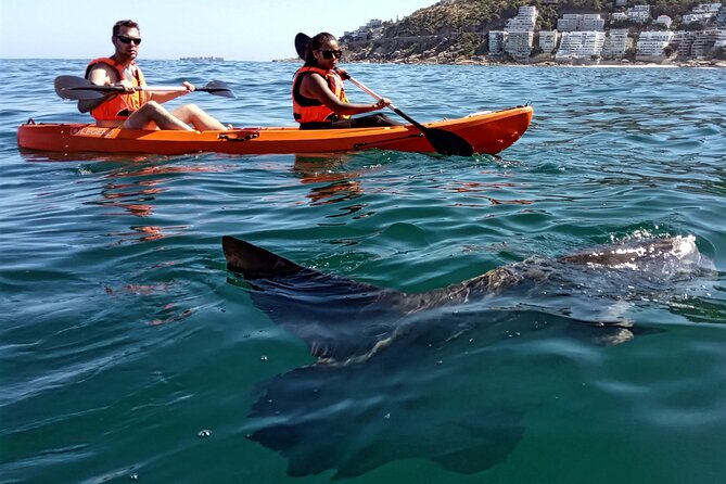 Kayak Adventure at Clifton Beach - Weather planning in Cape Town