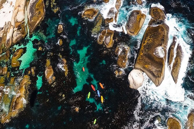 Kayak Adventure at Clifton Beach - Who will enjoy this kayaking trip most?