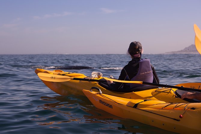 Kayak Chapman's Peak and Karbonkelberg in Hout Bay - Who should book this paddle