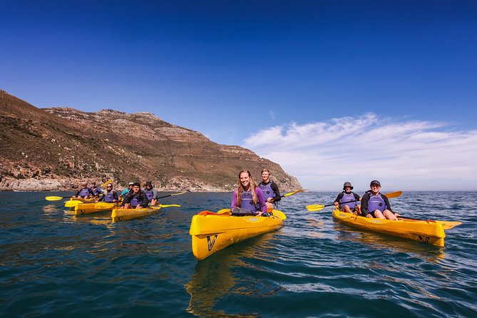 Kayak Chapman's Peak and Karbonkelberg in Hout Bay - Simple preparation for a better outing