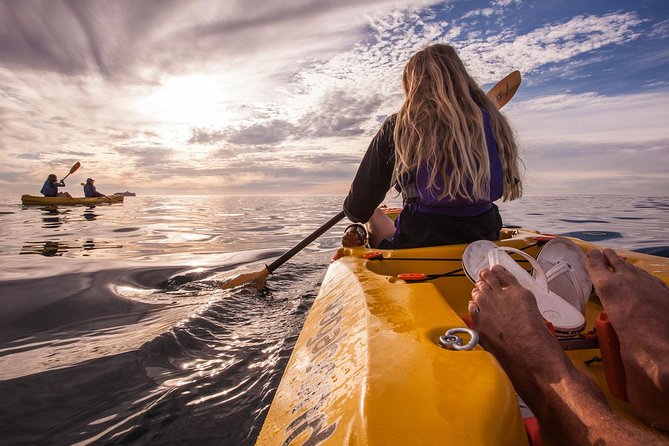 Kayak to the penguins in Simons Town - Why a kayak changes your view of Simon’s Town