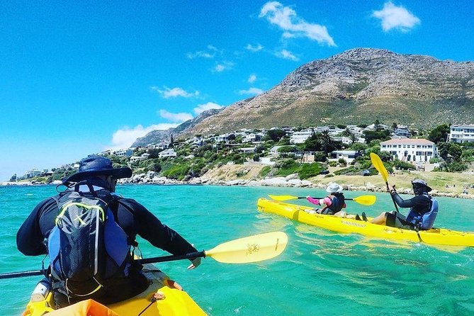 Kayak to the penguins in Simons Town - Boulders Beach and the African penguins