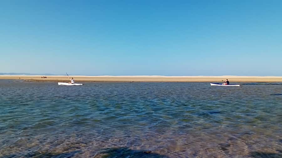 Kayaking Jeffreys Bay - Wildlife Along the Nature Reserve