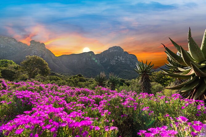 Kirstenbosch Botanical Gardens and Constantia Wine Tasting Tour. - Why this Cape Town day works