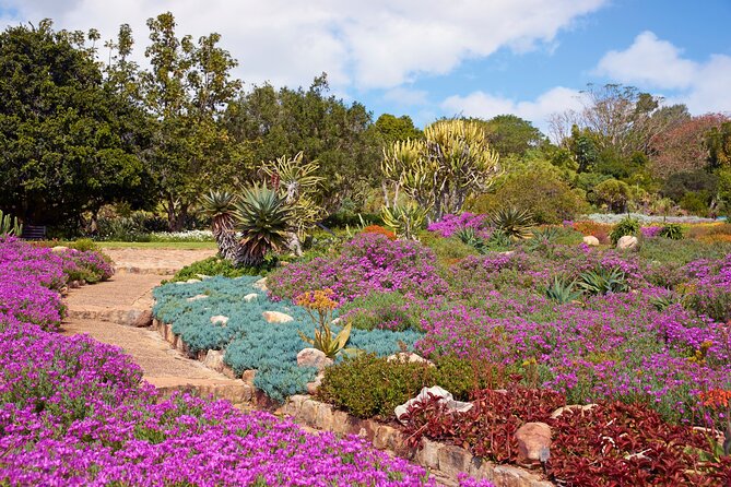 Kirstenbosch Garden, Bo-Kaap-Penguins & Cape of Good Hope Tour - Cape of Good Hope and the old lighthouse