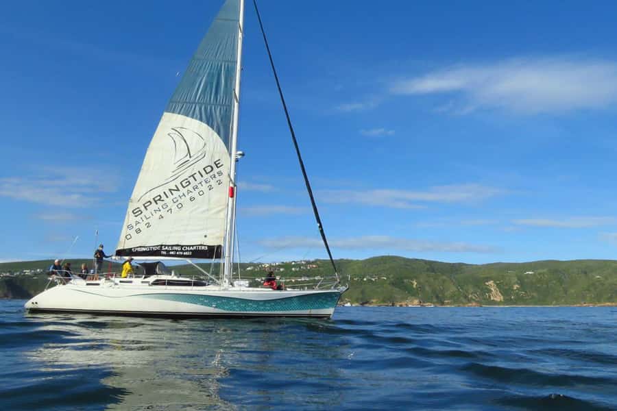 Knysna: 1.5-Hour Sailing Experience - What makes this Knysna sailing trip special