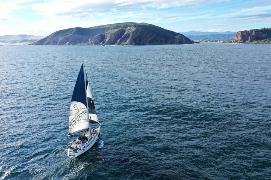 Knysna: 1.5-Hour Sailing Experience - A proper yacht, not a standard cruise boat