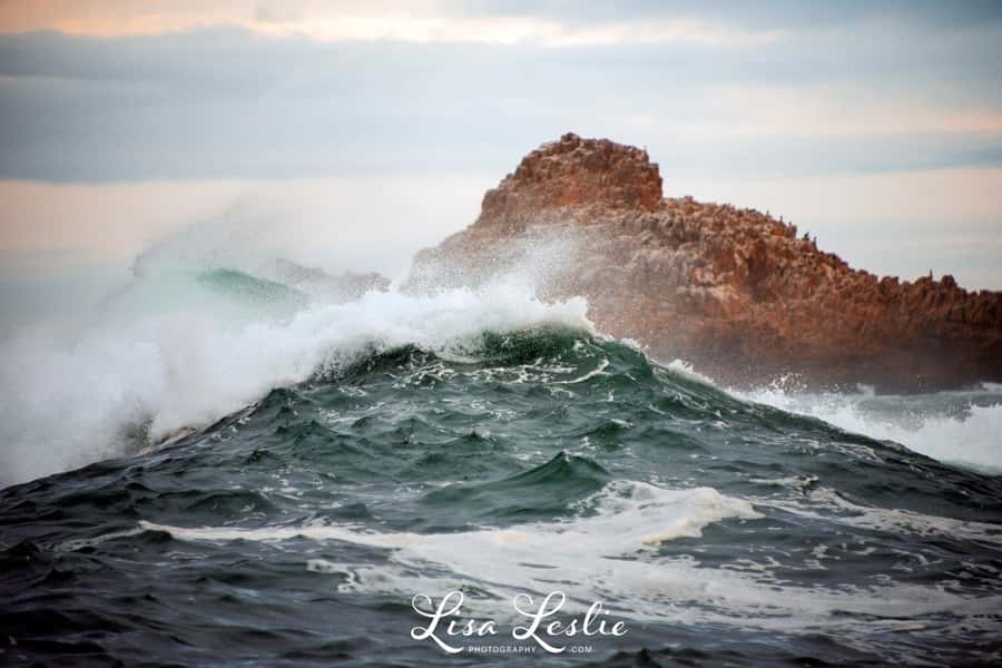 Knysna: 2.5-Hour Day Sail & Lunch Charter - Lunch on the teak deck