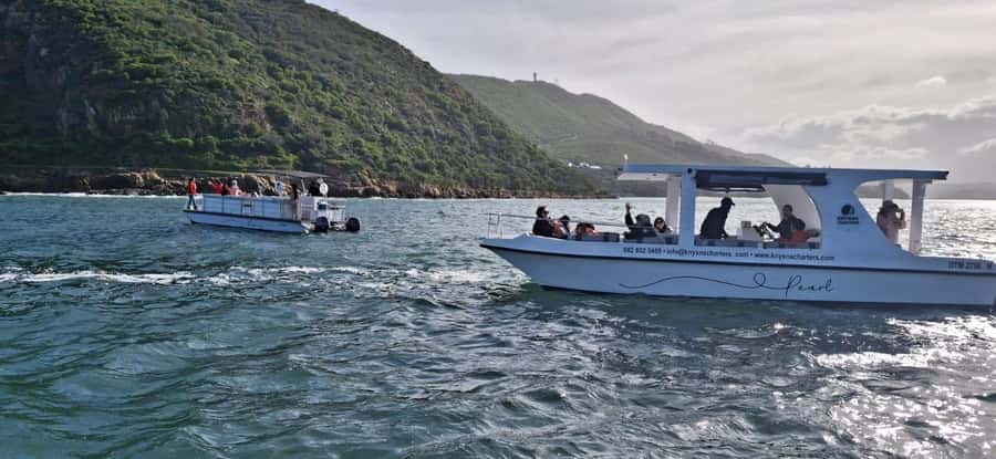 Knysna: 75-Minute Lagoon Boat Cruise - Key points at a glance