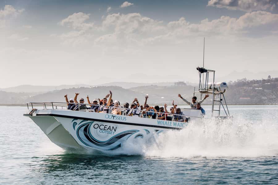 Knysna: Close Encounter Whale Watching Tour by Boat - Starting at Thesen Island in Knysna