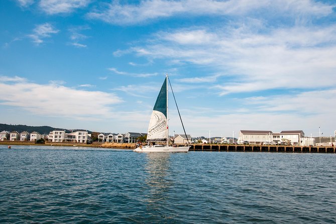 Knysna Day Sail & Lunch Charter 2.5 Hour - What the $119.64 price really buys