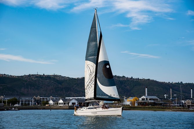 Knysna Day Sailing Cruise 1.5 hour - Sailing into the Indian Ocean