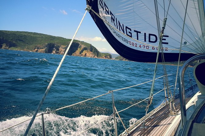 Knysna Day Sailing Cruise 1.5 hour - The small group makes the difference