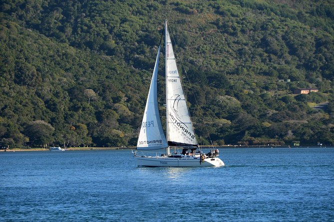 Knysna Day Sailing Cruise 1.5 hour - Weather, wildlife, and realistic expectations