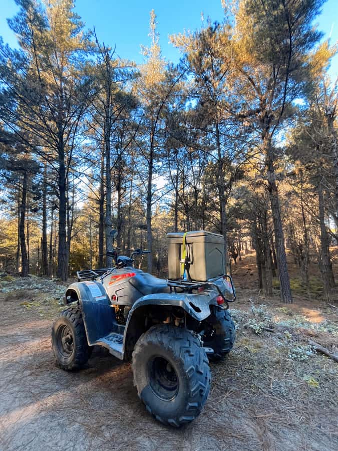Knysna: Guided Quad Bike Tour in the Forest - Is R850 good value for this Knysna outing?