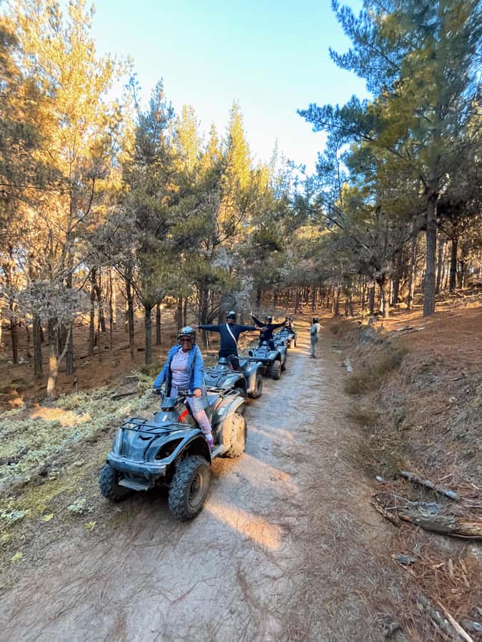 Knysna: Guided Quad Bike Tour in the Forest - Getting to the forest by bus