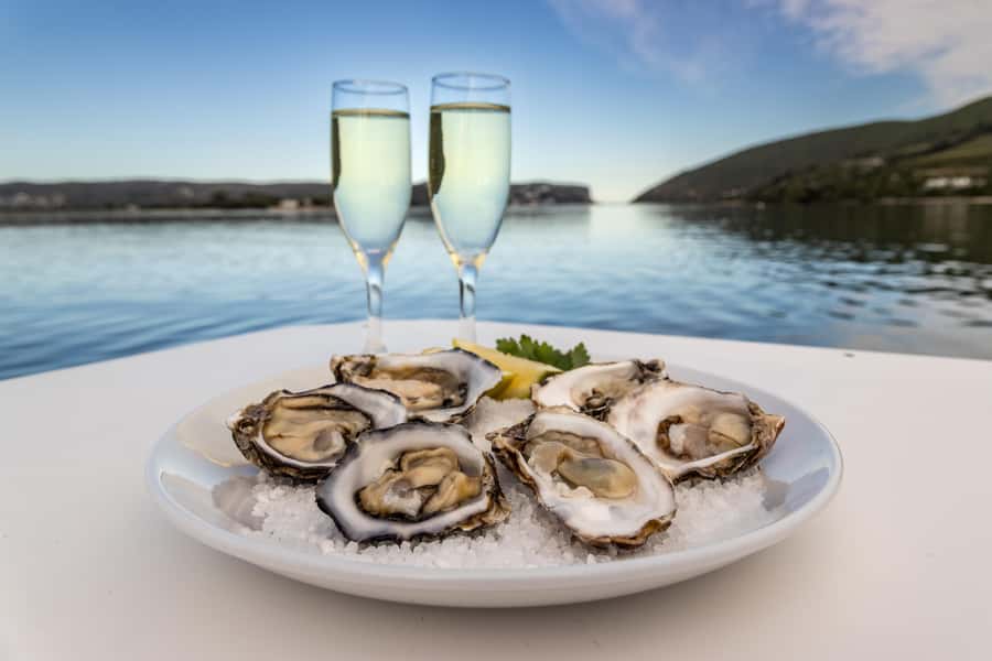 Knysna: Knysna Lagoon Pontoon Boat Cruise - What the commentary adds