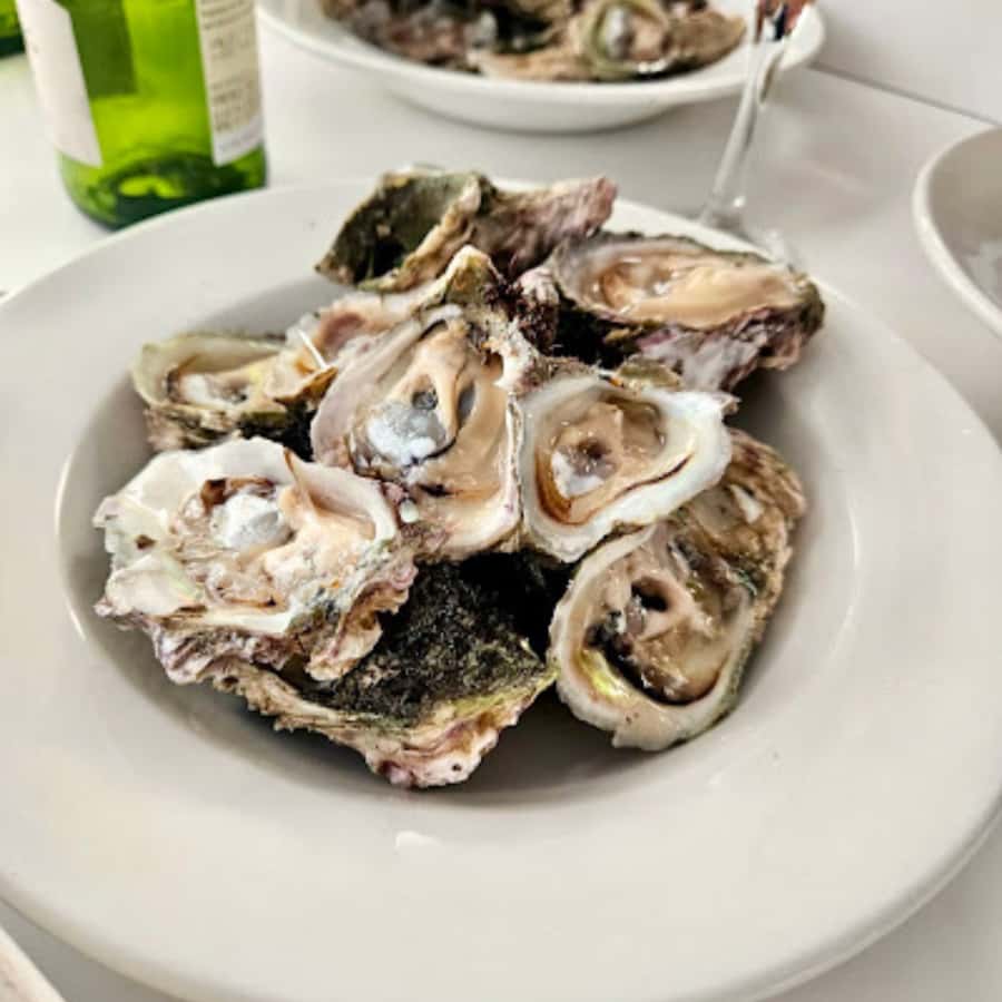 Knysna Lagoon: Boat Cruise with Oyster & White Wine Tasting - Starting at Thesen Island Harbour Town