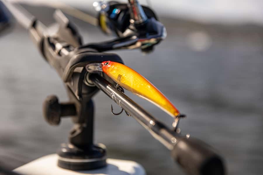 Knysna Lagoon Fishing Charter - What you can fish for