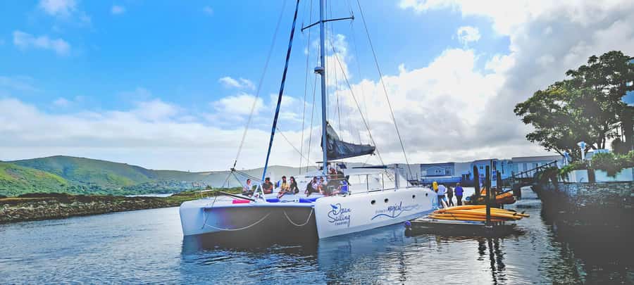 Knysna: Luxury Catamaran Marine Adventure Tour - Should you book the Knysna catamaran cruise?