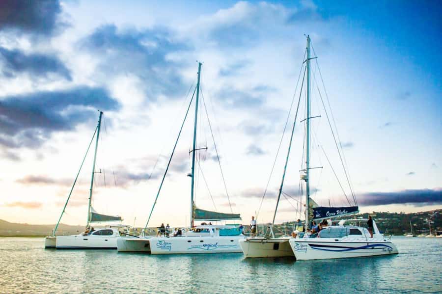 Knysna: Luxury Catamaran Marine Adventure Tour - Passing through the Knysna Heads