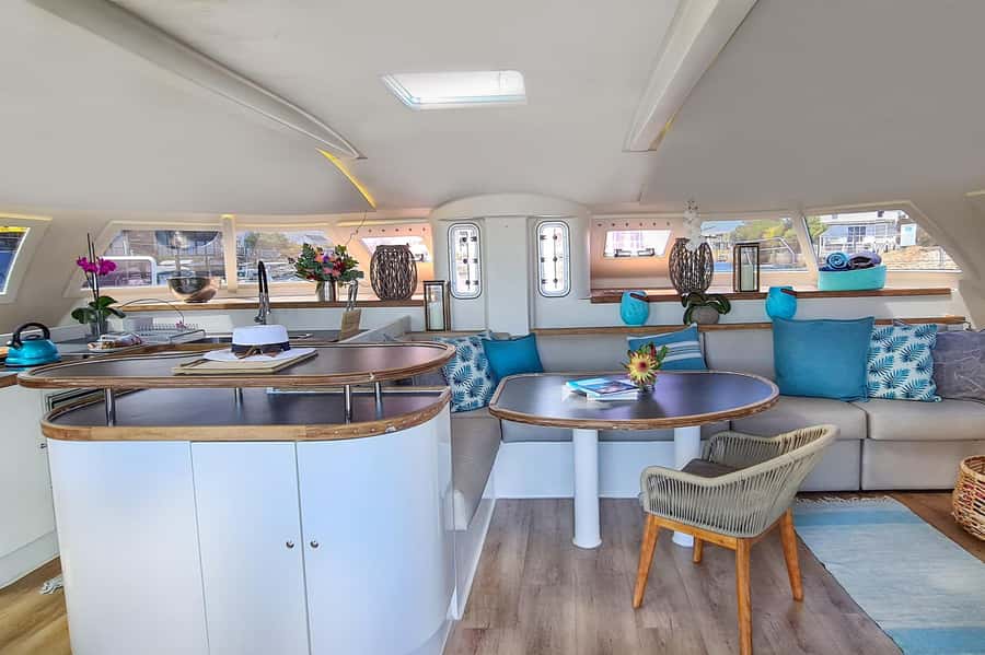 Knysna: Luxury Catamaran Marine Adventure Tour - What the luxury catamaran adds