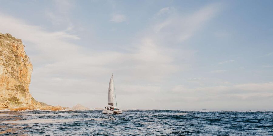 Knysna: Luxury Catamaran Marine Adventure Tour - The two-hour rhythm