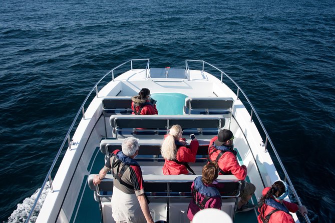 Knysna Marine Life & Garden Route Coastline Experience - Key points to know before boarding