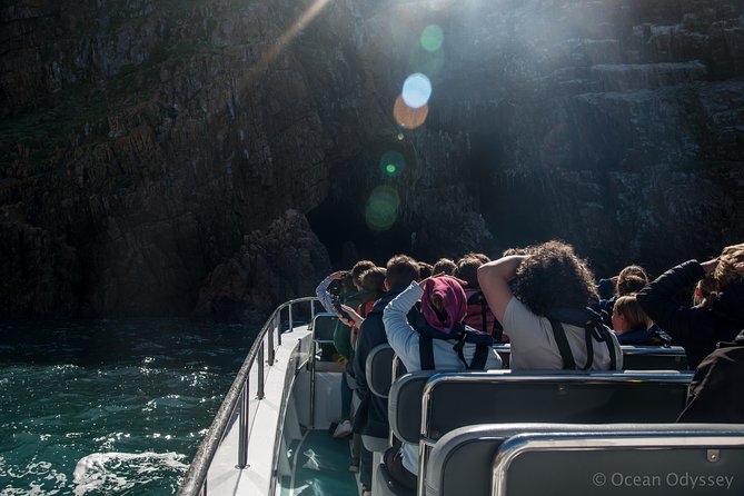 Knysna Marine Life & Garden Route Coastline Experience - Sea conditions, safety, and comfort