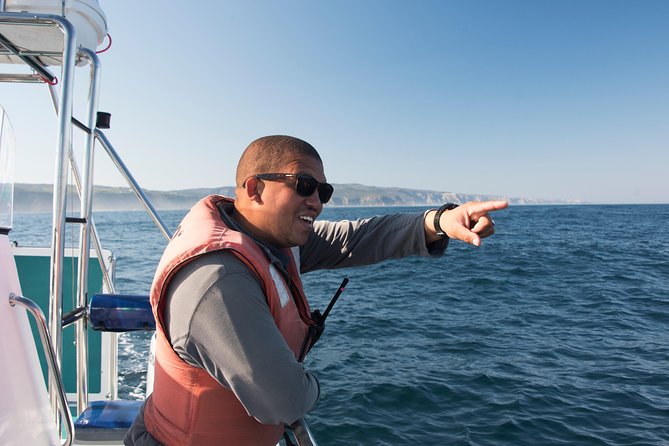 Knysna Marine Life & Garden Route Coastline Experience - Who will enjoy this Knysna cruise most