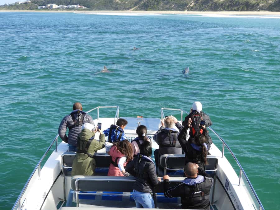 Knysna: Marine Life & Garden Route Coastline Tour - Key points to know before you book
