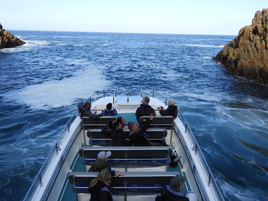 Knysna: Marine Life & Garden Route Coastline Tour - Beyond the Heads into the Indian Ocean