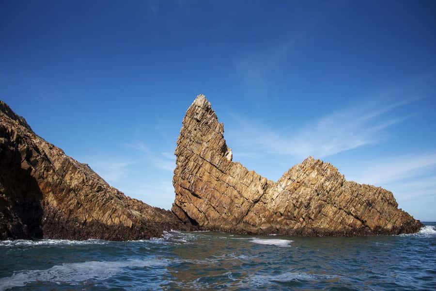Knysna: Marine Life & Garden Route Coastline Tour - The Knysna estuary: a calm opening