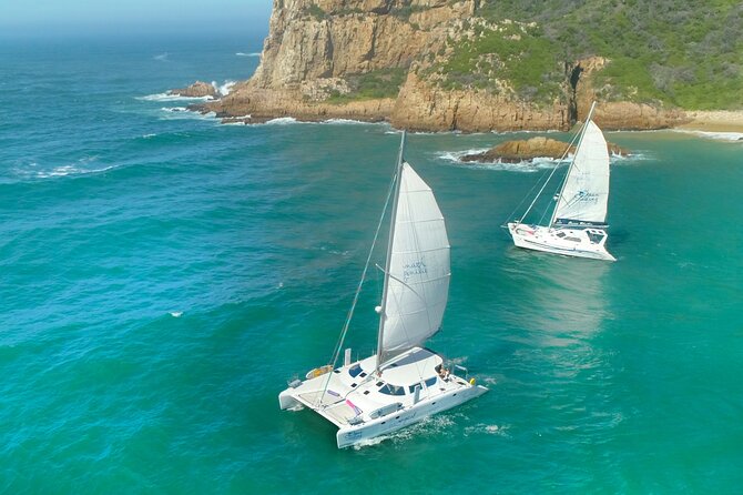 Knysna Sunset Sailing Cruise with captain's steak Braai & Bubbly - Key points at a glance