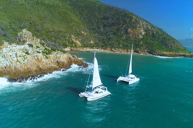 Knysna Sunset Sailing Cruise with captain's steak Braai & Bubbly - The captain’s steak braai and bubbly