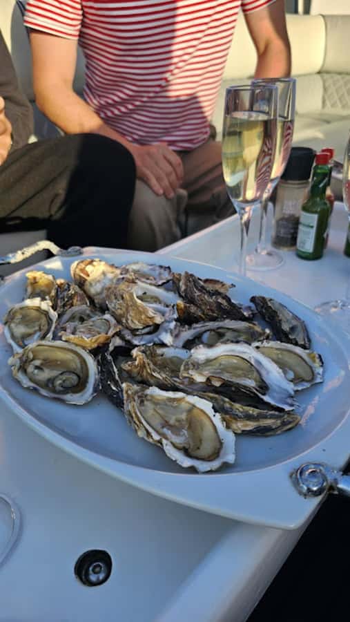 Knysna: Wine & Oyster Luxury Lounger Sunset Cruise - Key points at a glance