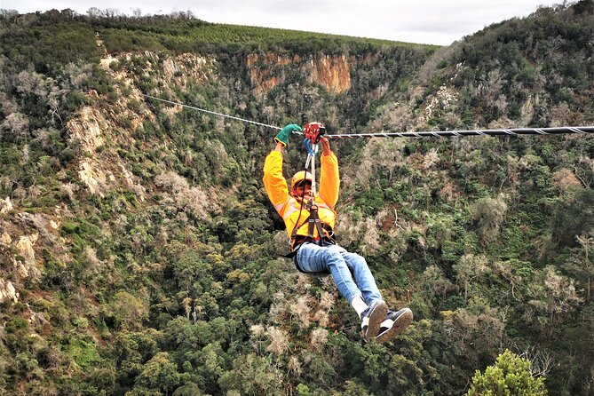 Knysna Ziplines Tour - Why the Kranshoek setting makes this more than a zipline ride